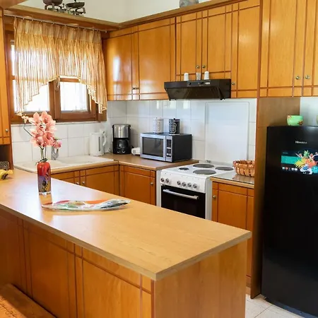 M&b Luxury House Vakantiehuis Theológos